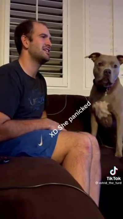 Calling your dog when it's next to you