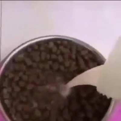 Que alguien calme a ese perro