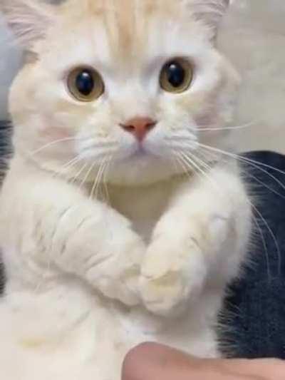 Expressions Omg 😱😱😱😳