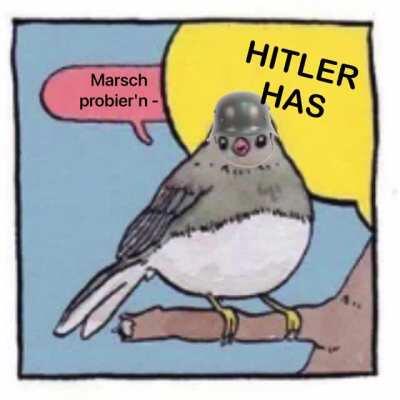 HITLER HAS ONLY GOT ONE BALL!