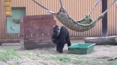 Когда старший ребёнок ревнует к младшему ребёнку