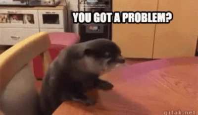 Where does this otter go?