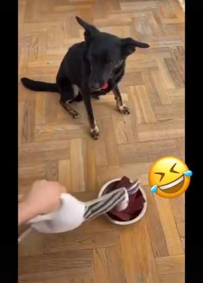 Buddy&rsquo;s never eating that again