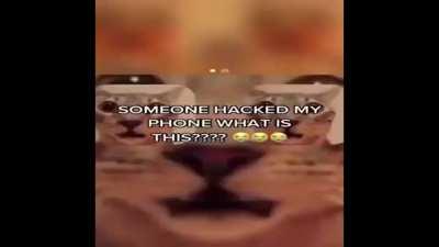 WHAT IT FEELS LIKE TO CHEW