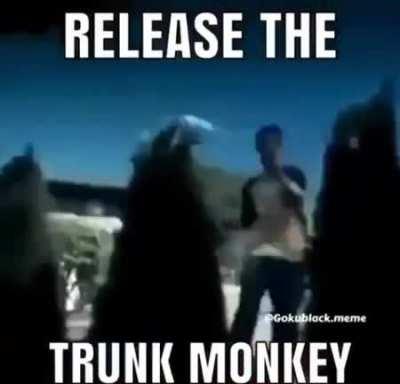 Release the Trunk Monkey caw caw