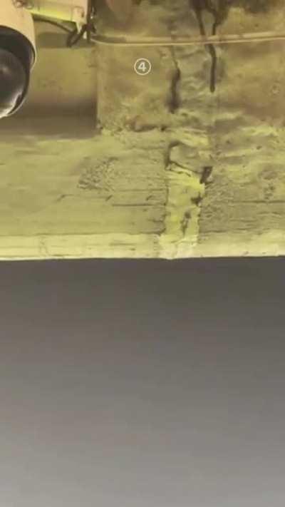 I think it's time to get out of here