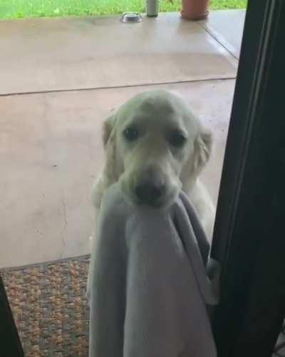 He understands perfectly well what's going on here.