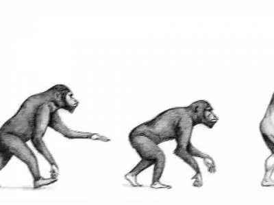 The real evolution 