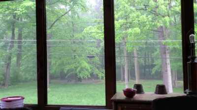 Working from home isn't so bad