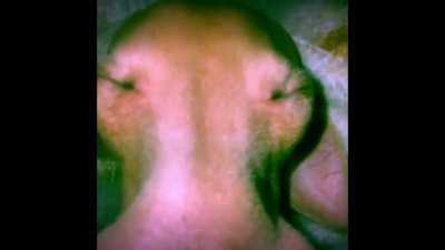 average aphex twin enjoyer taking a nap