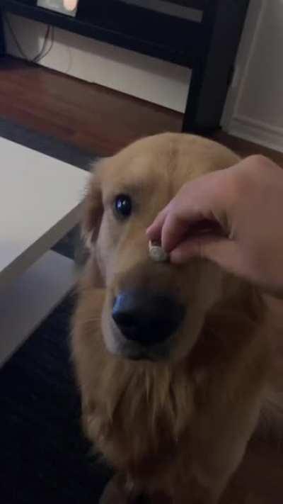 WCGW if I try to show off my new engagement ring?