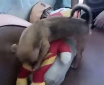 LOST MEDIA FOUND: jollibee commercial