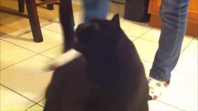 Ooooh yeah that’s the spot