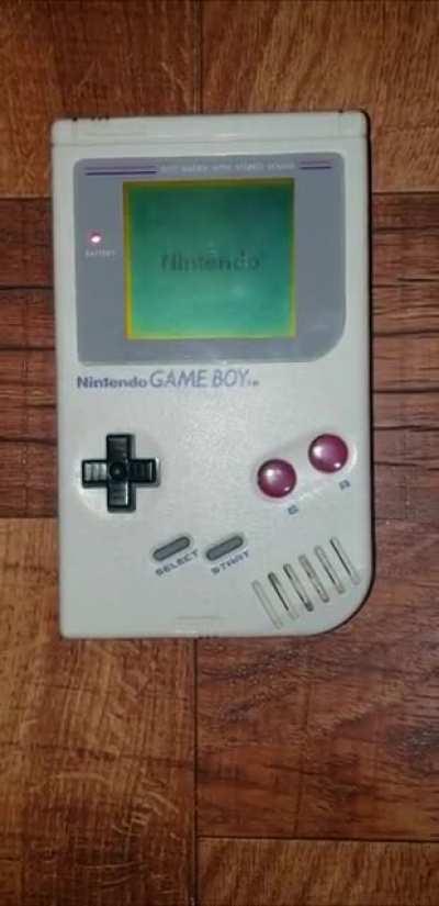 I think my Gameboy is bugged