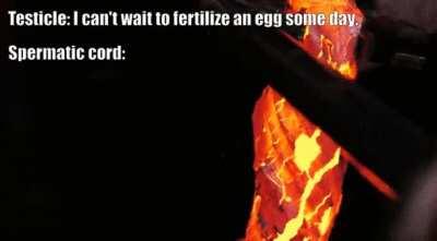 Bell Clapper defect be like [meme]