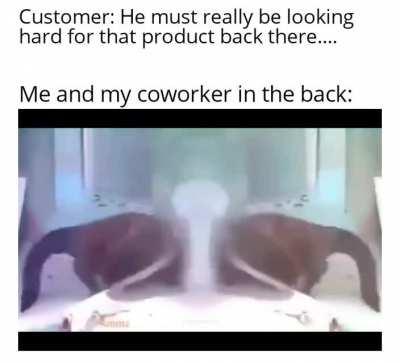 I gotta check the back