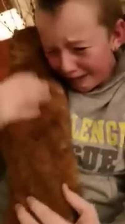 Cat dad reunited with his lost cat after 7 months apart