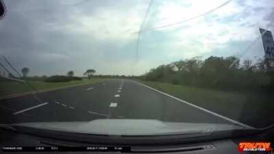 In bird culture, this is considered a dick move