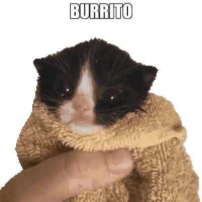 borrito