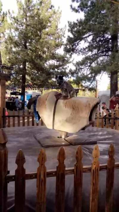 I guess I'm a rodeo professional