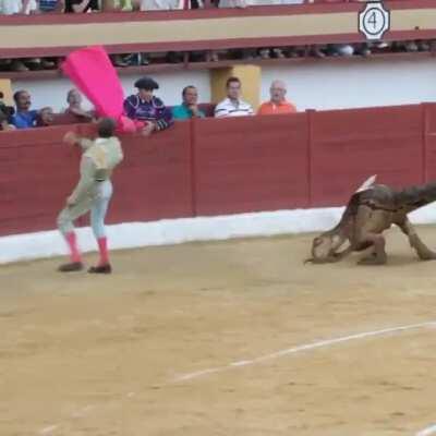 Hace muchos años se toreaban velociraptores. Hubo quejas, se dejó de hacer y por ese motivo los dinosaurios se extinguieron.