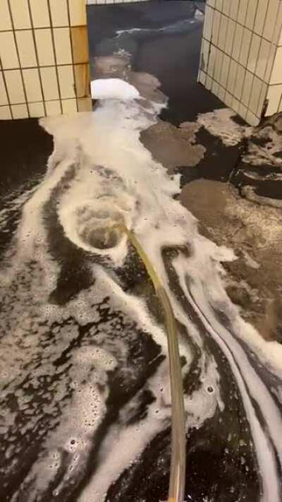 Ich weiß, es ist mittwoch. aber heute blutet das herz. Eben die restlichen abgelaufenen Bierfässer entleert. Die harte Arbeit und die kostbaren Ressourcen in den gulli gekippt. Evtl helfen die frösche über die trauer hinweg.