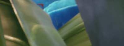 Master Chief Petty Officer John-117 can now ride a literal Warthog in Fortnite.