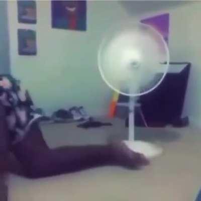 rrrrRRRRRRrrrrrrrrrrrrr