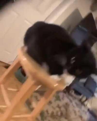 this video go so hard frfr ong