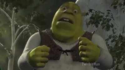 DAME DAME DAMEYOOOOO (Créditos ao TwinkleMan)