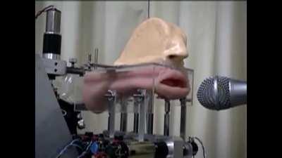 cursed_motormouth.mp4