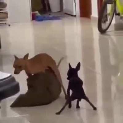 Not sure where to begin?