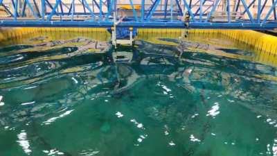 A perfect standing wave on a computer controlled wave pool used for research in my university