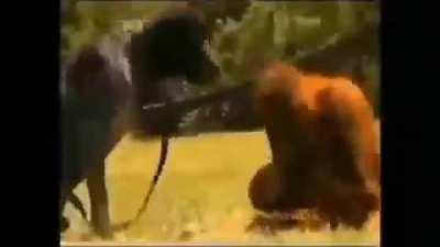 It’s that time again!!! WOOP WOOP!!