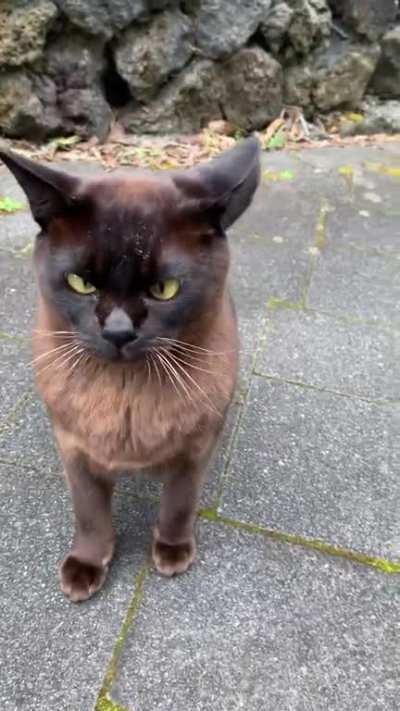 Bruce was not in a good mood.