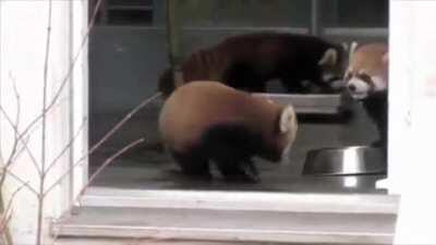 I THOUGHT SHE WAS LITERALLY DYING OMG