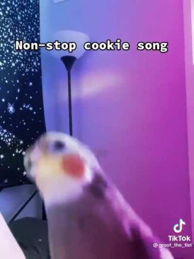 The cookie song