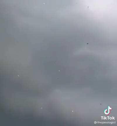 Wondering if it‘s also bigger from the inside… 😂