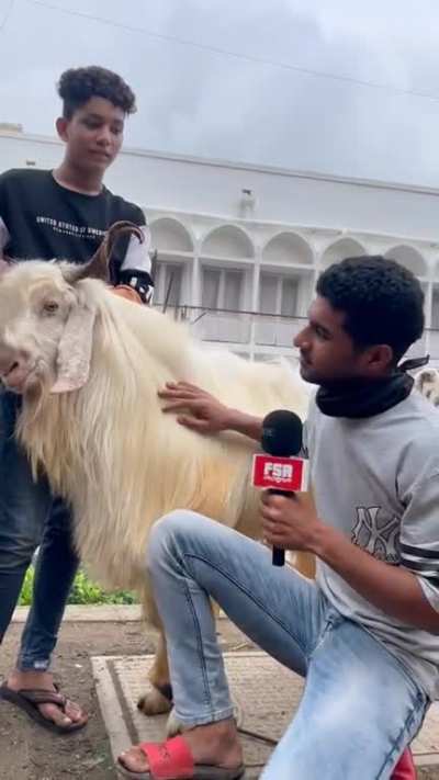 My only other true love after PapaJohn Fauj