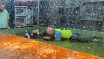 Alligator attacks keeper, bystander jumps in to help