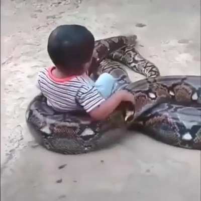 That is absolutely bonkers