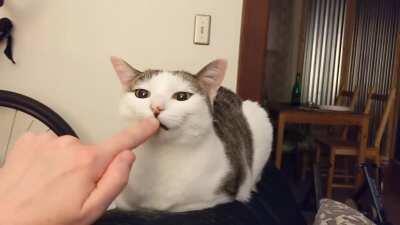 This is her answer to 