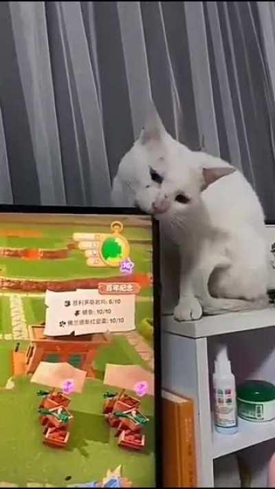 I wonder if it tastes good