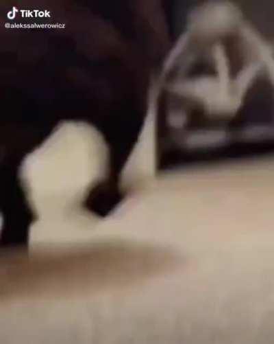 Giving strange looks