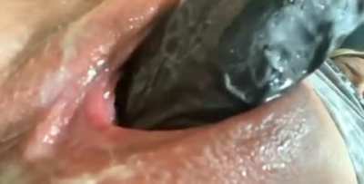 Pussy GIF by officialfatpussy