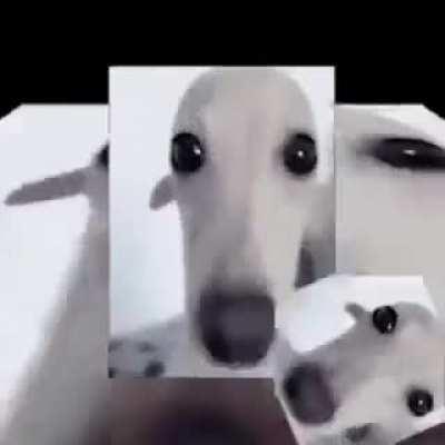 peanut butter jelley