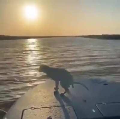 Blursed_Enjoying the sunset.