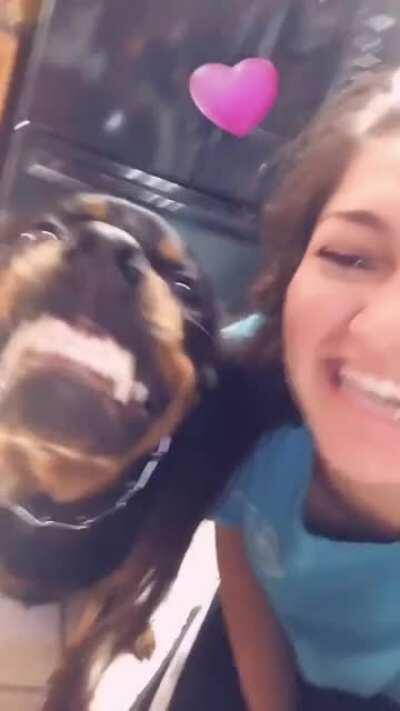 wrong dog for this kind of stuff.