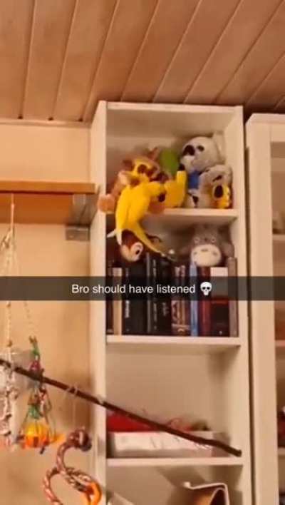 Sound on. U won't regret it...maybe