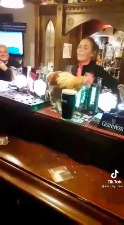 Why did the chicken stagger across the road?